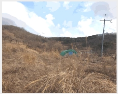  2025Ÿ7361  û  긮 30      (1)