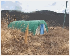  2025Ÿ7361  û  긮 30      (1)