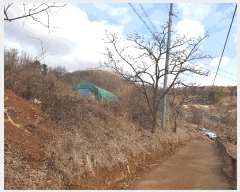  2025Ÿ7361  û  긮 30      (1)