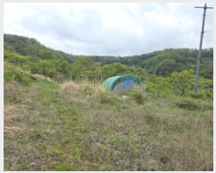  2025Ÿ7361  û  긮 30      (1)