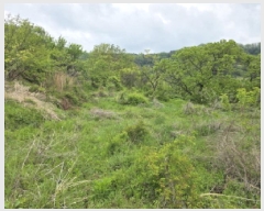  2025Ÿ7361  û  긮 30      (1)