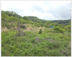  2025Ÿ7361  û  긮 30      (1)