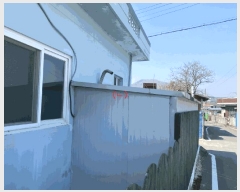  2025Ÿ��7482 ��� ��õ�� �Ͼȸ� ������ 81-1      ���ð��