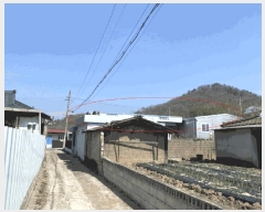  2025Ÿ��7482 ��� ��õ�� �Ͼȸ� ������ 81-1      ���ð��