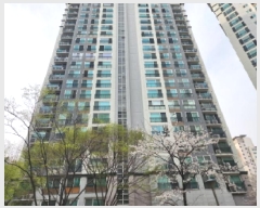  2025Ÿ7654 뱸   966-1  ޸ īƼ 207 3302ȣ  Ʈ