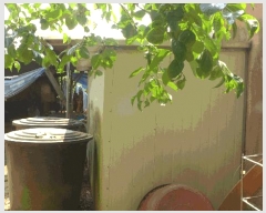  2025Ÿ��7820  ���ð��