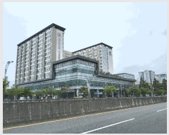  2025Ÿ��7954  ���ǽ��ڰ��