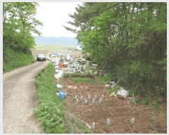  2025Ÿ��8009 ��� ��õ�� �Ӱ��� ��õ�� 349      ����(��1)���