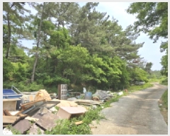  2025Ÿ��8009 ��� ��õ�� �Ӱ��� ��õ�� 349      ����(��1)���