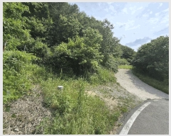  2025Ÿ��8217 ��� ��õ�� ȭ���� �װ ��60      ����(�Ӿ�)���