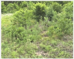  2025Ÿ��8217 ��� ��õ�� ȭ���� �װ ��60      ����(�Ӿ�)���