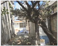  2025Ÿ��8607 �뱸 �ϱ� ħ�굿 65-1       ���ð��