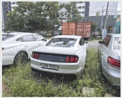  2025Ÿ��8749 �뱸 �ϱ� �˴ܵ� 1393-106, ��������      �������