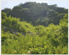  2025Ÿ��852  �����