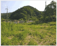  2025Ÿ��852  �����