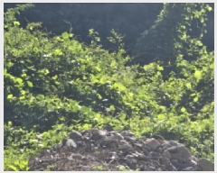  2025Ÿ��852  �����