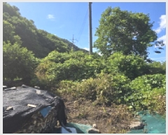  2025Ÿ��852  �����