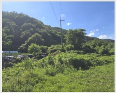  2025Ÿ��852  �����