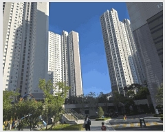  2025Ÿ��872  ����Ʈ���