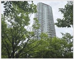  2025Ÿ��8267  ����Ʈ���