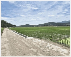  2025Ÿ��8440  ����