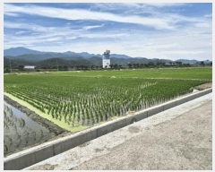  2025Ÿ��8440  ����