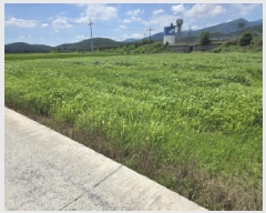  2025Ÿ��8440  ����