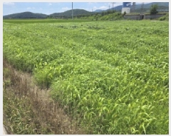  2025Ÿ��8440  ����