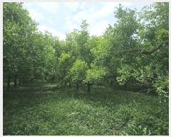  2025Ÿ��8503  ����