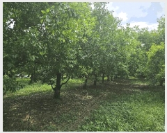  2025Ÿ��8503  ����