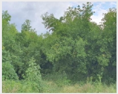  2025Ÿ��8503  ����