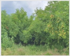  2025Ÿ��8503  ����