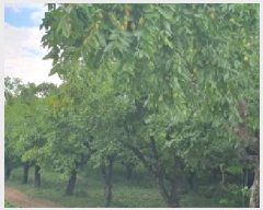  2025Ÿ��8503  ����