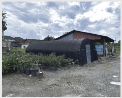  2025Ÿ��8534 ��� ��õ�� �Ӱ��� ��Ÿ� 71-5      ����(��)���