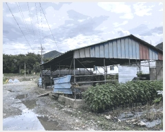  2025Ÿ��8534 ��� ��õ�� �Ӱ��� ��Ÿ� 71-5      ����(��)���