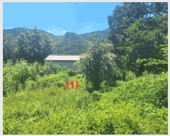  2025Ÿ��8559 ��� ĥ� ��õ�� �� 120-1      ����(����)���