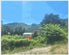  2025Ÿ��8559 ��� ĥ� ��õ�� �� 120-1      ����(����)���