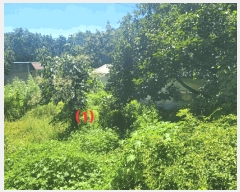  2025Ÿ��8559 ��� ĥ� ��õ�� �� 120-1      ����(����)���