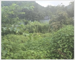  2025Ÿ��8559 ��� ĥ� ��õ�� �� 120-1      ����(����)���