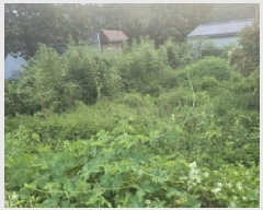  2025Ÿ��8559 ��� ĥ� ��õ�� �� 120-1      ����(����)���