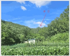  2025Ÿ��8560 ��� ��õ�� �Ӱ��� ��Ÿ� ��58      ����(�Ӿ�)���