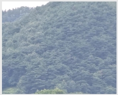  2025Ÿ��8560 ��� ��õ�� �Ӱ��� ��Ÿ� ��58      ����(�Ӿ�)���