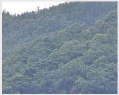  2025Ÿ��8560 ��� ��õ�� �Ӱ��� ��Ÿ� ��58      ����(�Ӿ�)���