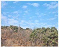  2025Ÿ10006  ȵ ĸ  602-4      (Ӿ)