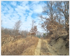  2025Ÿ10006  ȵ ĸ  602-4      (Ӿ)