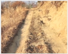  2025Ÿ10006  ȵ ĸ  602-4      (Ӿ)