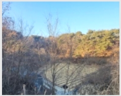  2025Ÿ10006  ȵ ĸ  602-4      (Ӿ)