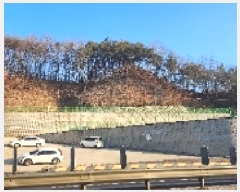  2025Ÿ��10037 ��� �ȵ��� ǳ���� �󸮸� ��39-2      ����(�Ӿ�)���