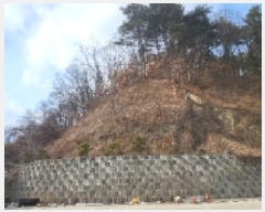  2025Ÿ��10037 ��� �ȵ��� ǳ���� �󸮸� ��39-2      ����(�Ӿ�)���