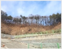  2025Ÿ��10037 ��� �ȵ��� ǳ���� �󸮸� ��39-2      ����(�Ӿ�)���